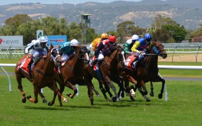 Betta smart – En guide till moderna spelplattformar och nya trender